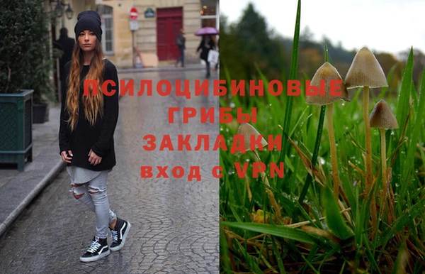 spice Алзамай