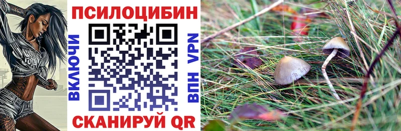 hydra онион Арск Галлюциногенные грибы Magic Shrooms